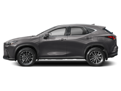 2025 Lexus NX 350h Luxury