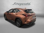 2025 Lexus NX 350h Luxury