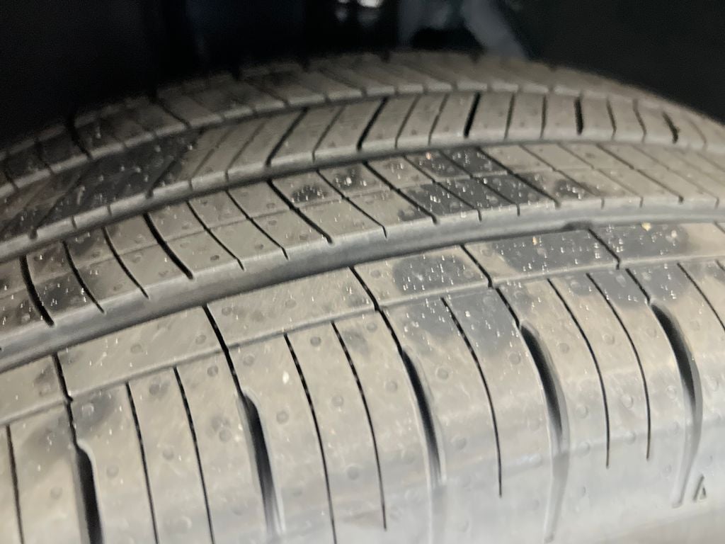 2026 Hyundai PALISADE HYBRID SEL 8 Passenger