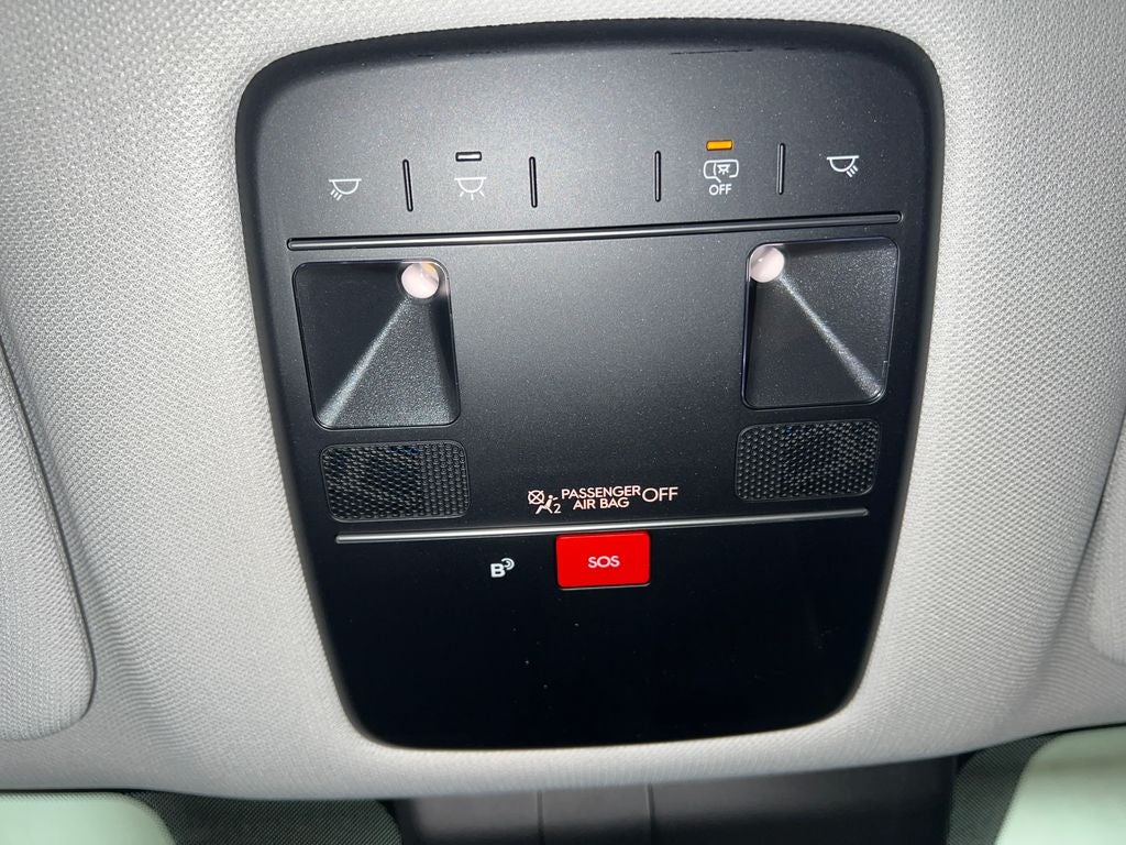 2026 Hyundai PALISADE HYBRID SEL 8 Passenger