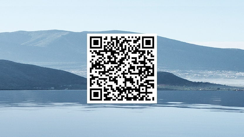 Hyundai Evolve+ iPhone QR code | Fitzgerald Countryside Hyundai in Clearwater FL