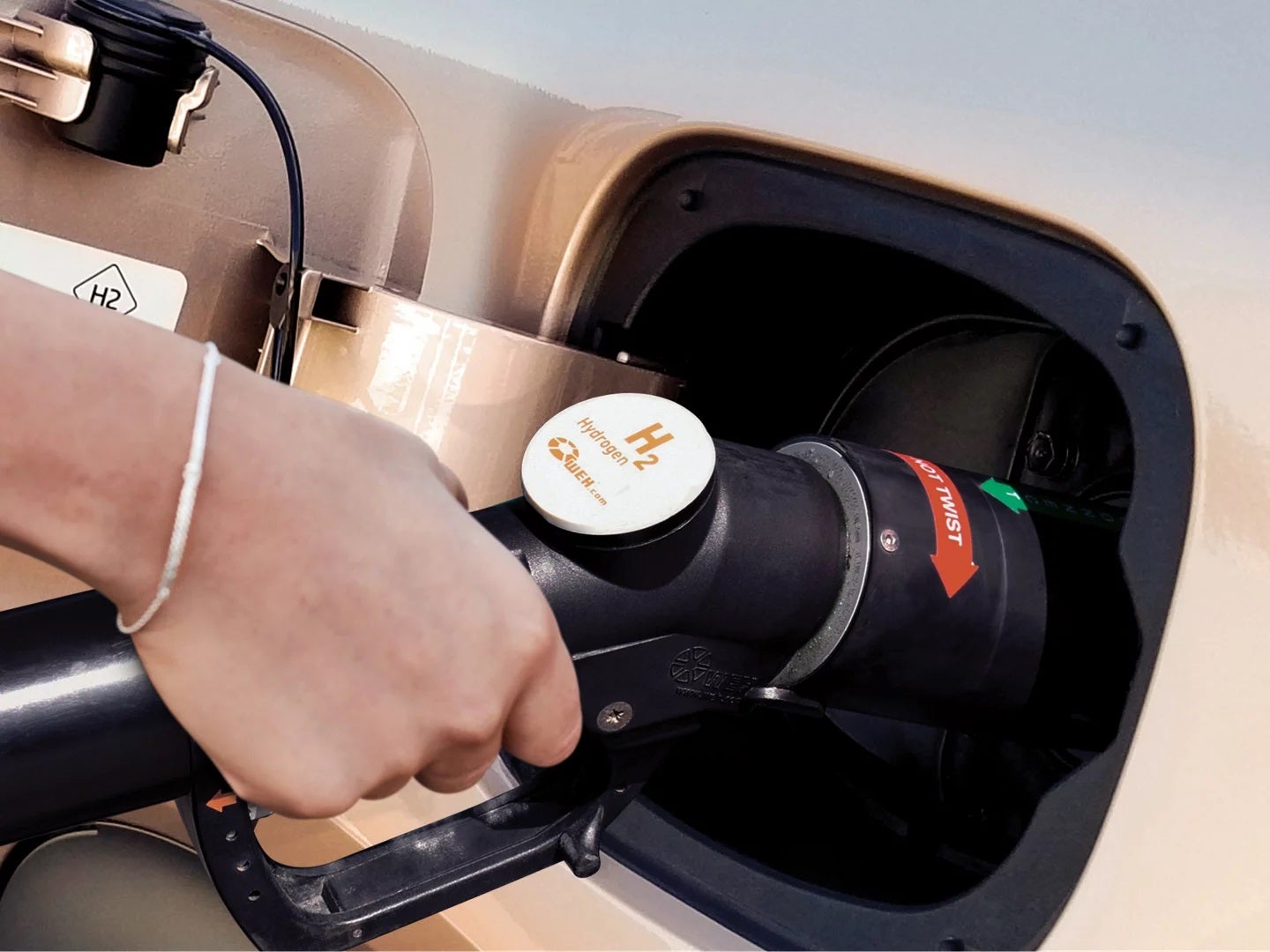 Fitzgerald Countryside Hyundai in Clearwater FL