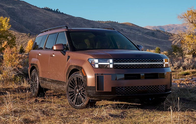 A bronze Hyundai Santa Fe SUV parked in a mountainous area with autumn foliage.